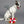 BARK<br>Great White Bark Bundle<br>Dog Costume + Plush Toy
