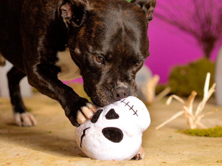 BARK<br>Moulderin' Skully<br>Dog Plush Toy