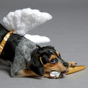 BARK<br>Mythical Mutt Bundle<br>Dog Costume + Plush Toy