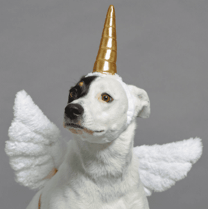 BARK<br>Mythical Mutt Bundle<br>Dog Costume + Plush Toy
