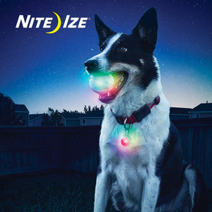 NITE IZE<br>SpotLit<br>Disc-O Select LED Collar Light