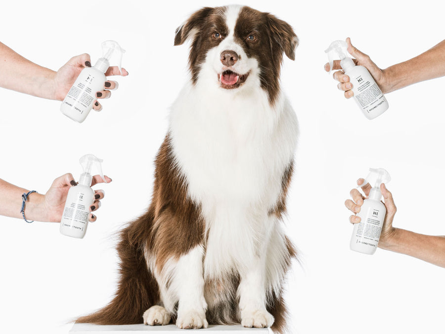 HOUNDZTOOTH<br>Natural Goat Milk Blend No. 1, 2, 3<br>Dog Shampoo & Conditioning Spray