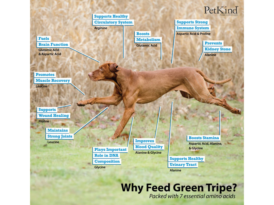20% OFF ⏰ PETKIND<br>Grain Free Tripe-Focused<br>Dry Dog Food