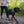 RUFFWEAR<br>Crag™<br>Reflective Multi-Function Dog Leash<br>6 Colours