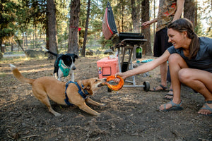 RUFFWEAR<br>Front Range® Everyday<br>No-Pull Dog Harness<br>8 Colours