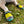 RUFFWEAR<br>Grip Trex™<br>All-Terrain Dog Boots<br>3 Colours