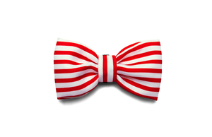 10% OFF ⏰ ZEE.DOG<br>Cadillac Bow Tie