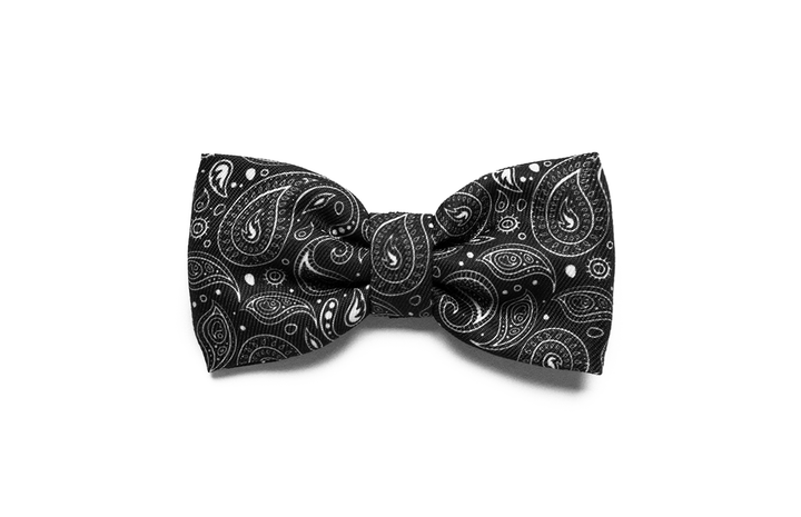 10% OFF ⏰ ZEE.DOG<br>Paisley Bow Tie